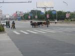 IMG 0384